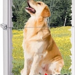 Zippo Labrador