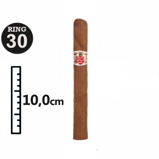 Hoyo de Monterrey Le Hoyo Du Maire