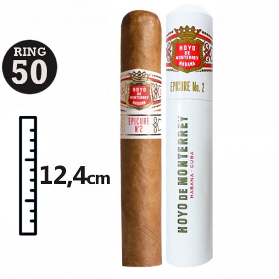  Hoyo de Monterrey Epicure No 2Tubos