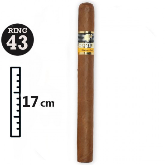 Cohiba Siglo V